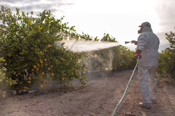 Best Exterminator Services  in Belfair, WA