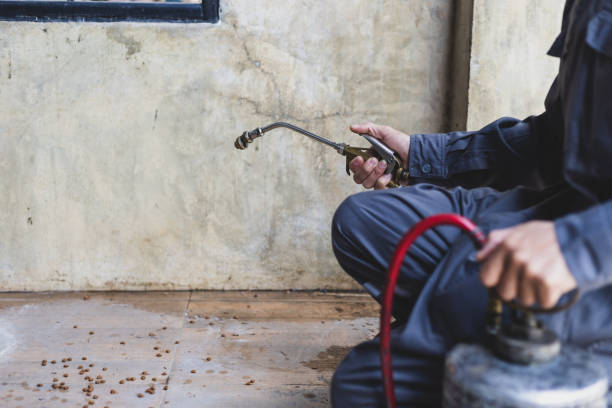 Best Mosquito Control Services  in Belfair, WA